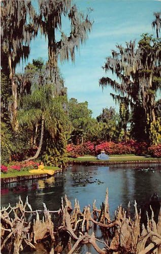 Пощенска картичка Елхови градини, Флорида