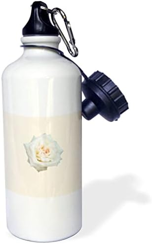 3. В едър план Красиви Бели рози, изолирана в бутилки за вода (wb_357159_1)